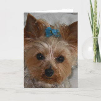 Weinig Bondgenoot Kaart