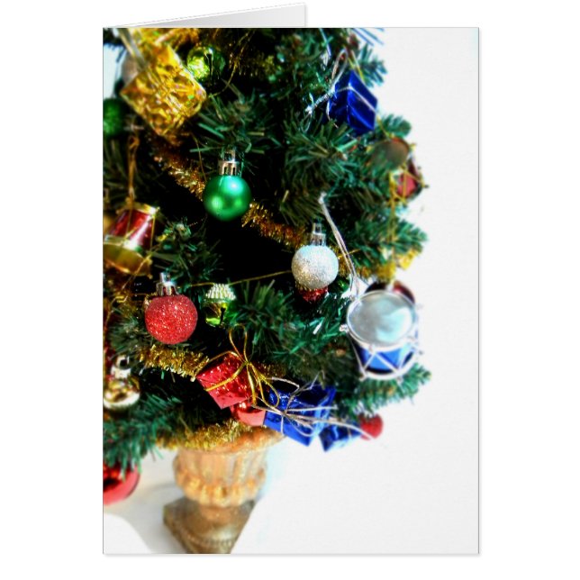 Weinig Boom II van de Trommel (Voorkant)