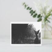 Weinig Briefkaart van de Begraafplaats van het (Staand voorkant)