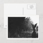 Weinig Briefkaart van de Begraafplaats van het (Voorkant / Achterkant)