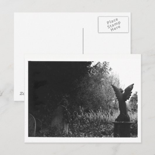 Weinig Briefkaart van de Begraafplaats van het (Voorkant / Achterkant)