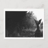 Weinig Briefkaart van de Begraafplaats van het (Voorkant)