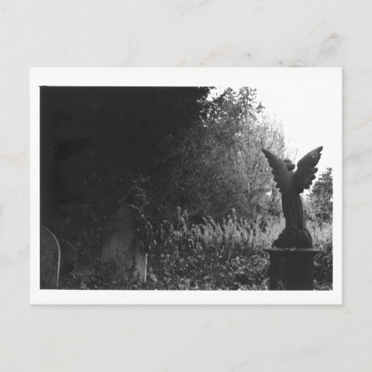 Weinig Briefkaart van de Begraafplaats van het (Voorkant)