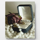 Weinig Diamant II Fotoplaat (Voorkant)