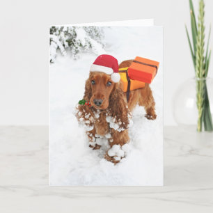 Weinig Helper van de kerstman Feestdagen Kaart