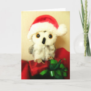 Weinig Helper van de kerstman Feestdagen Kaart