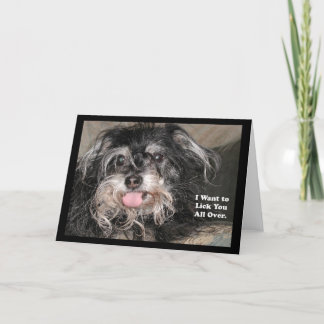 "Weinig Hond Joey: "ik wil likken u helemaal over" Kaart