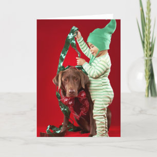 Weinig jongen die een hond verfraaien feestdagen kaart