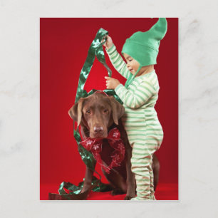 Weinig jongen die een hond verfraaien feestdagenkaart