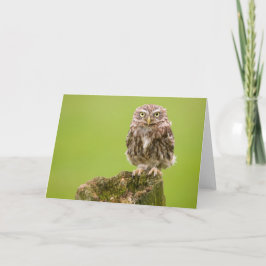 Weinig Kaart van de Uil door cARTerART