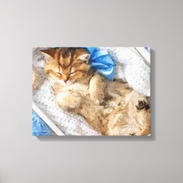 Weinig Kat tussen de garens Canvas Afdruk