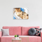 Weinig Kat tussen de garens Canvas Afdruk (Insitu (Woonkamer))