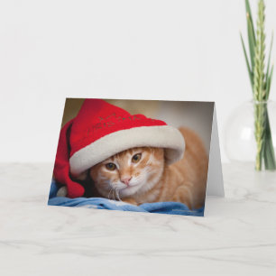 Weinig Katje in het Rode Pet van Kerstmis Feestdagen Kaart