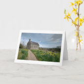 Weinig Kerk | van de Gele narcis de Kaart van (Gele Bloem)