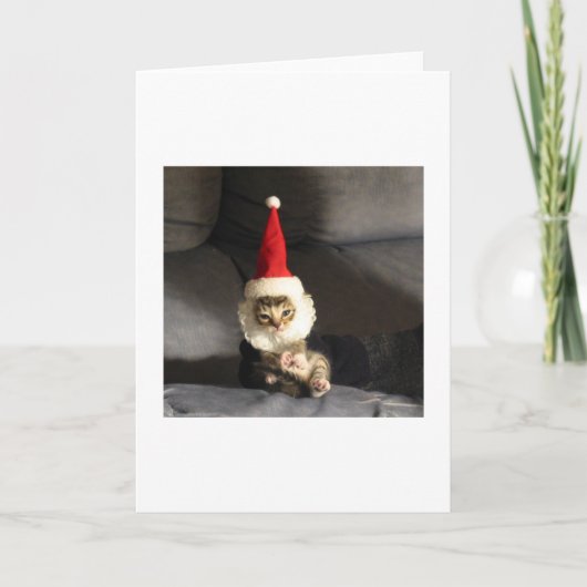 Weinig Kittie Feestdagen Kaart (Voorkant)