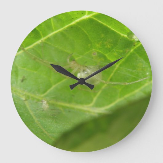 Weinig Klok van de Muur van de Spin (Voorkant)