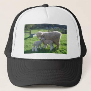 WEINIG LAM TRUCKER PET