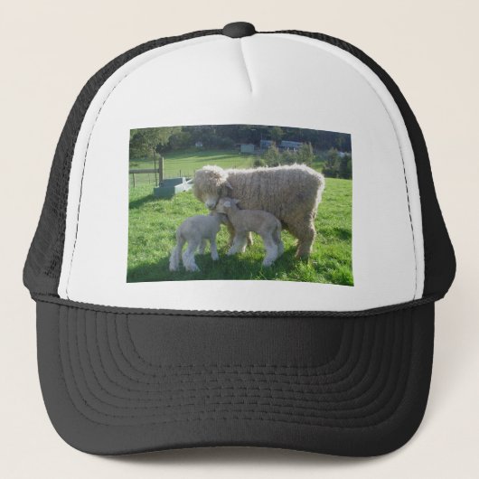 WEINIG LAM TRUCKER PET (Voorkant)