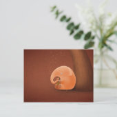 Weinig Olifant, Grote Ukelele Briefkaart (Staand voorkant)