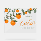 Weinig Oranje geslacht Neutraal Baby shower Acryl Bord (Voorkant)