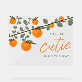 Weinig Oranje geslacht Neutraal Baby shower Acryl Bord