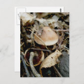 Weinig Oranje Pet Briefkaart (Voorkant / Achterkant)