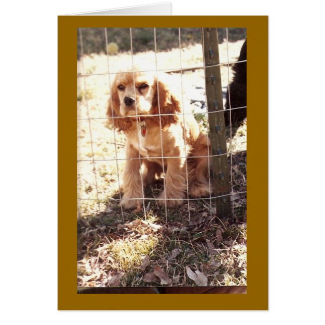 weinig verbod (Voorkant)