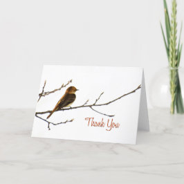 Weinig Vogel dankt u nota neemt van Bedankkaart