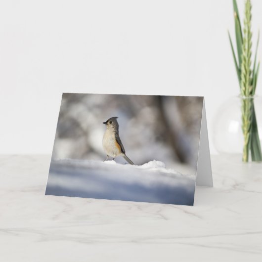 Weinig Vogel van de Sneeuw Kaart (Voorkant)