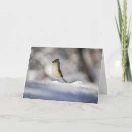 Weinig Vogel van de Sneeuw Kaart