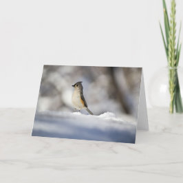Weinig Vogel van de Sneeuw Kaart