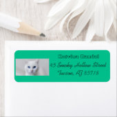Weinig wit Kat adreslabel Etiket (Insitu)