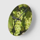 Weintrauben aus Langenlois Ronde Klok (Hoek)