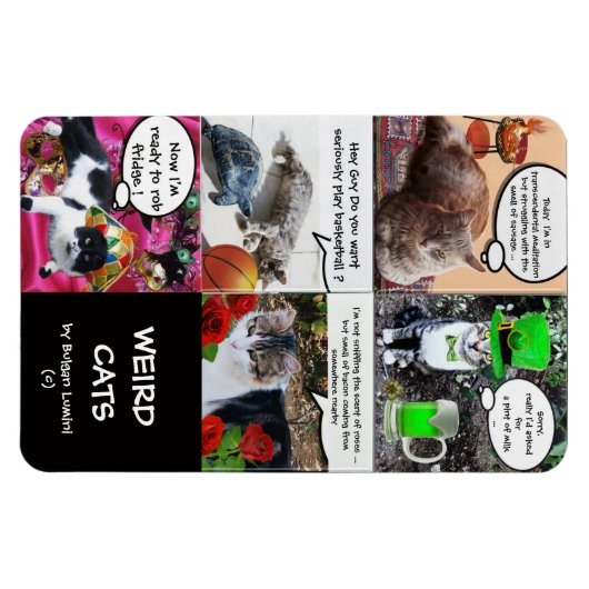 WEIRD CAT-VOORRADEN MAGNEET (Horizontaal)