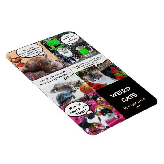 WEIRD CAT-VOORRADEN MAGNEET (Rechterzijde)