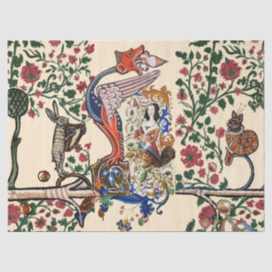 WEIRD MEDIEVAL BESTIAIRE draak en spinnen Harpy Tissuepapier