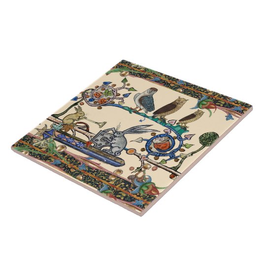 WEIRD MEDIEVAL BESTIARY MAKING MUSIC Owls, Rabbits Tegeltje (Zijkant)