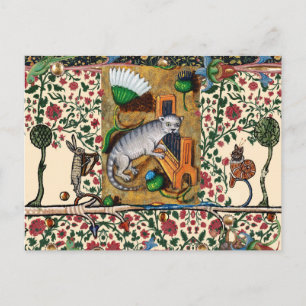 WEIRD MEDIEVAL BESTIARY MUSIC,CAT PLAYS ORGAN BRIEFKAART