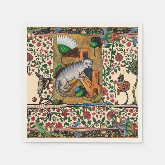 WEIRD MEDIEVAL BESTIARY MUSIC,CAT PLAYS ORGAN SERVET (Voorkant)