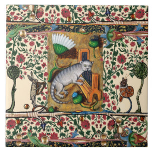 WEIRD MEDIEVAL BESTIARY MUSIC,CAT PLAYS ORGAN TEGELTJE