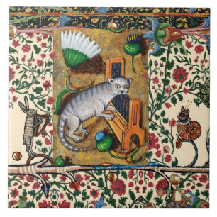 WEIRD MEDIEVAL BESTIARY, MUZIEK, CAT PLAYS ORGAN TEGELTJE