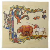 WEIRD MEDIEVAL BESTIARY Unicorn, Rhino and Rabbit Tegeltje (Voorkant)