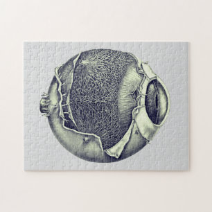 Weird Modern Vintage Eyeball Detail Drawing Gray Legpuzzel