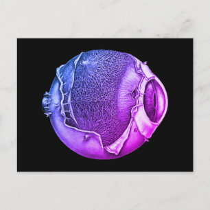Weird Moderne  Eyeball Detail Tekening Paars Briefkaart