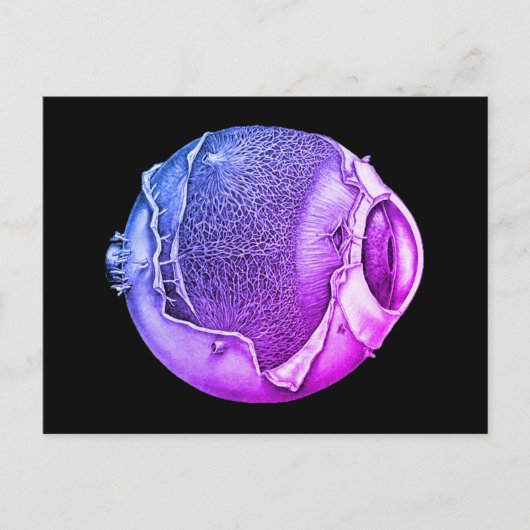 Weird Moderne  Eyeball Detail Tekening Paars Briefkaart (Voorkant)