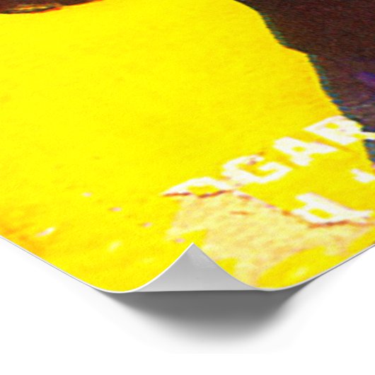 WEIRD TALES Cool  Pulp Magazine Hoesje Art Poster (Hoek)