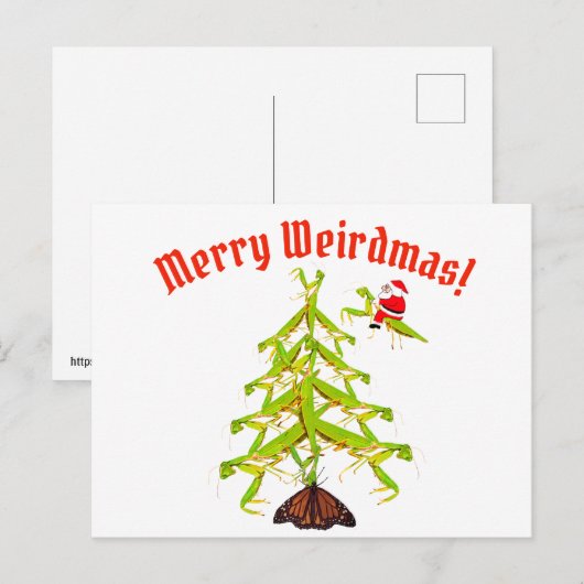 Weirdmas Briefkaart met kerstmis van de Mantis-boo (Voorkant / Achterkant)