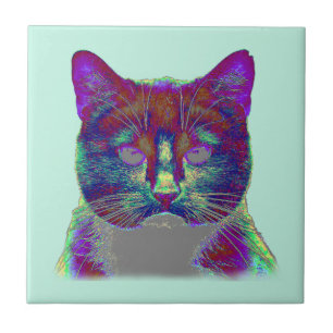 Weirdy Cat Tegeltje