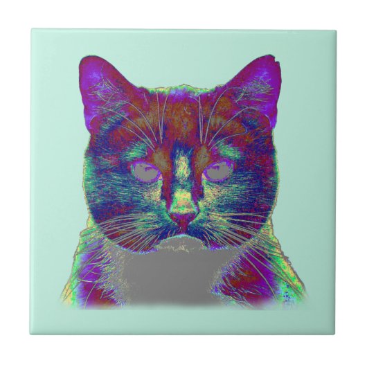 Weirdy Cat Tegeltje (Voorkant)