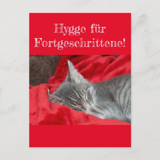 Weisheiten en Humor Hygge ... Katze schläft auf ro Briefkaart (Voorkant)